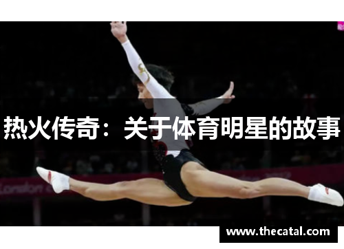 热火传奇：关于体育明星的故事